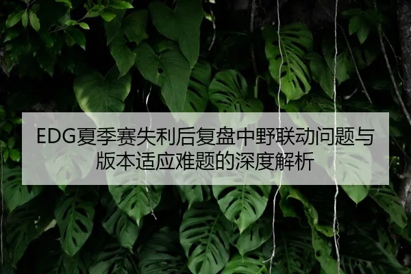 EDG夏季赛失利后复盘中野联动问题与版本适应难题的深度解析